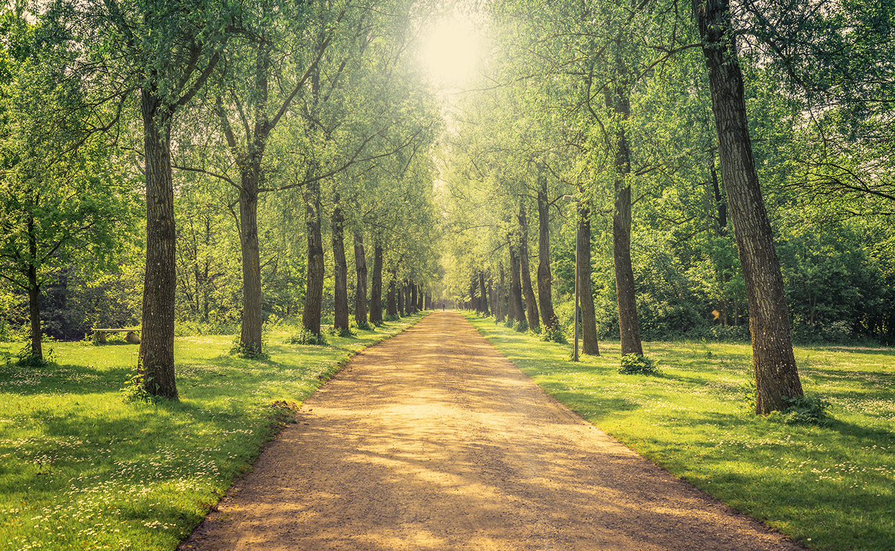 리버 파크 힐링 라이프
